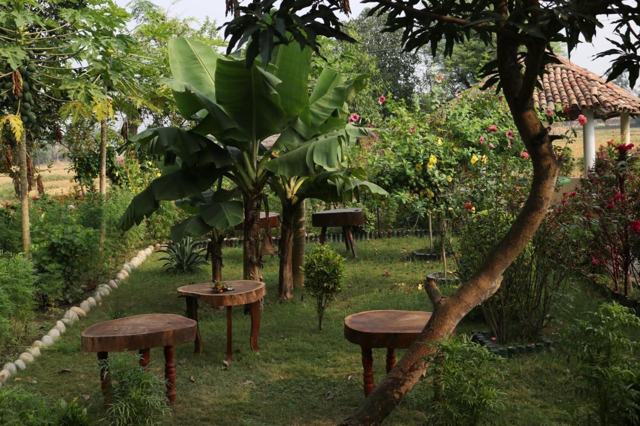 Bardia Eco Friendly Homestay Bardiya Екстер'єр фото